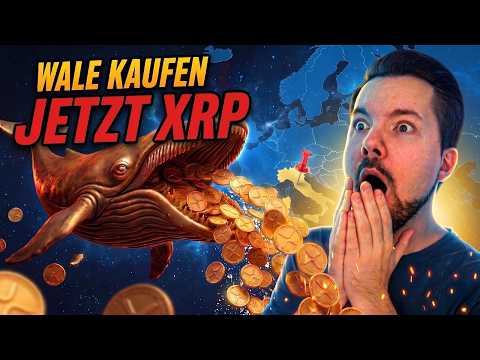 XRP Preis Chart: MACH DICH BEREIT