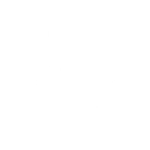 BISON Logo
